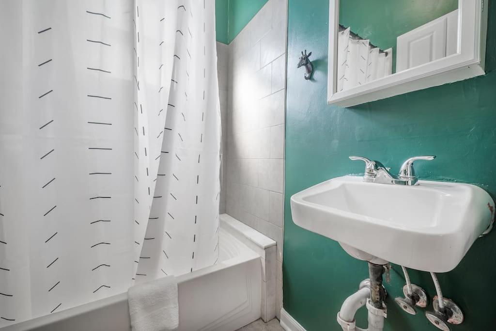 Jungle Themed Apt. Close To Coffee, Food + Shops! Tampa Exterior photo